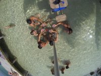 Gin Tonic auf Sarahs Geburtstag