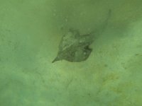 Was auch immer das ist...