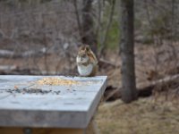 Ist das nicht süüüüß?!