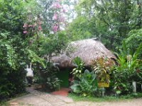 Unsere kleine Urwaldhütte.