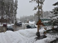 Neuschnee in Lake Louise