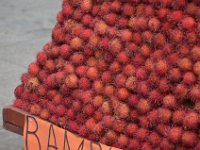 Fein säuberlich gestapelte Früchte. (Name vergessen)