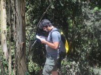 Der Chef kennt den Weg (vielleicht).