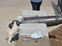 Sault Ste Marie and Thunder Bay