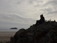 Franzi blickt in die Ferne