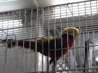 Markt in Belo Horizonte