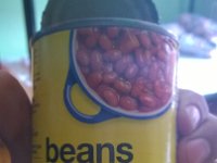 Our new friend for 99ct.