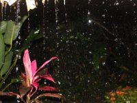 Palenque und Chetumal